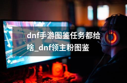 dnf手游图鉴任务都给啥_dnf领主粉图鉴-第1张-游戏信息-吕游网